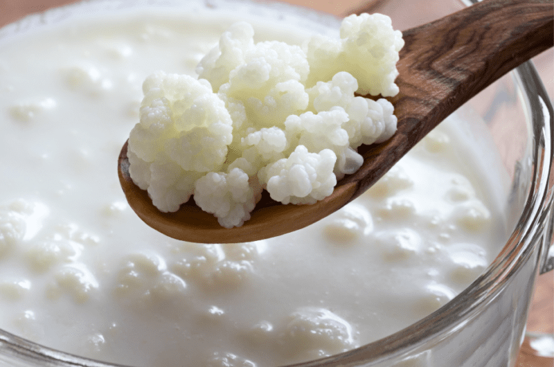 How to Make Milk Kefir at Home
