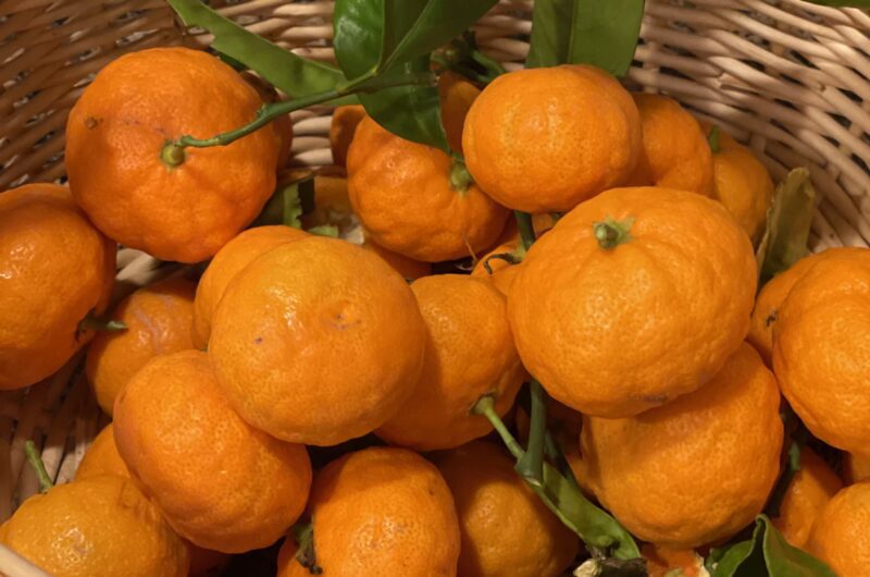 How to Make Tangerine Vinegar at Home